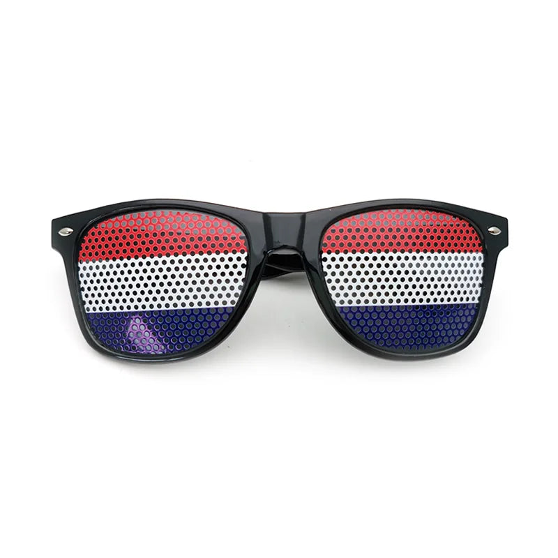 FlagVision
