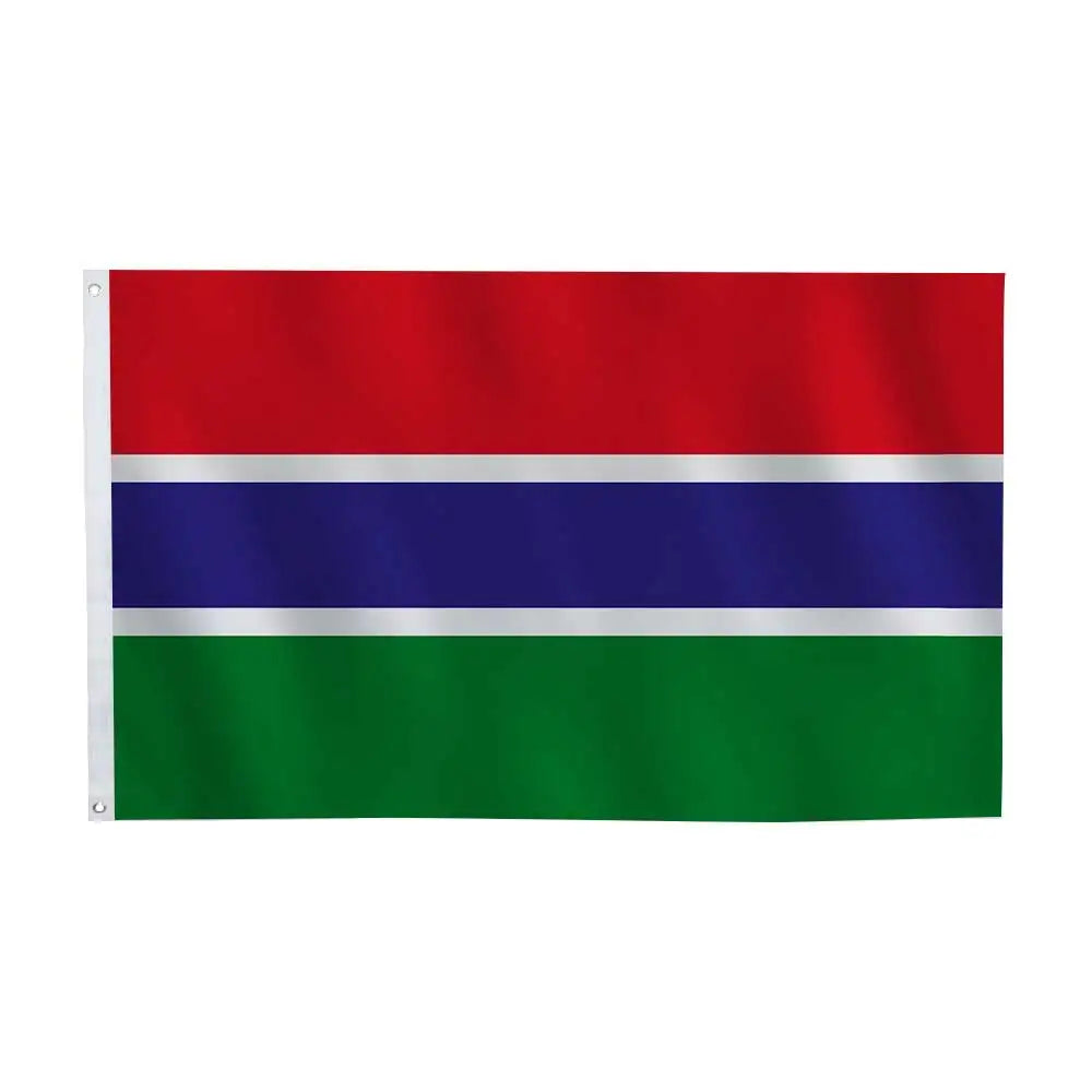 African Flags Pack 🔥🌍 | Décore Ton Espace Avec Les Nations d’Afrique