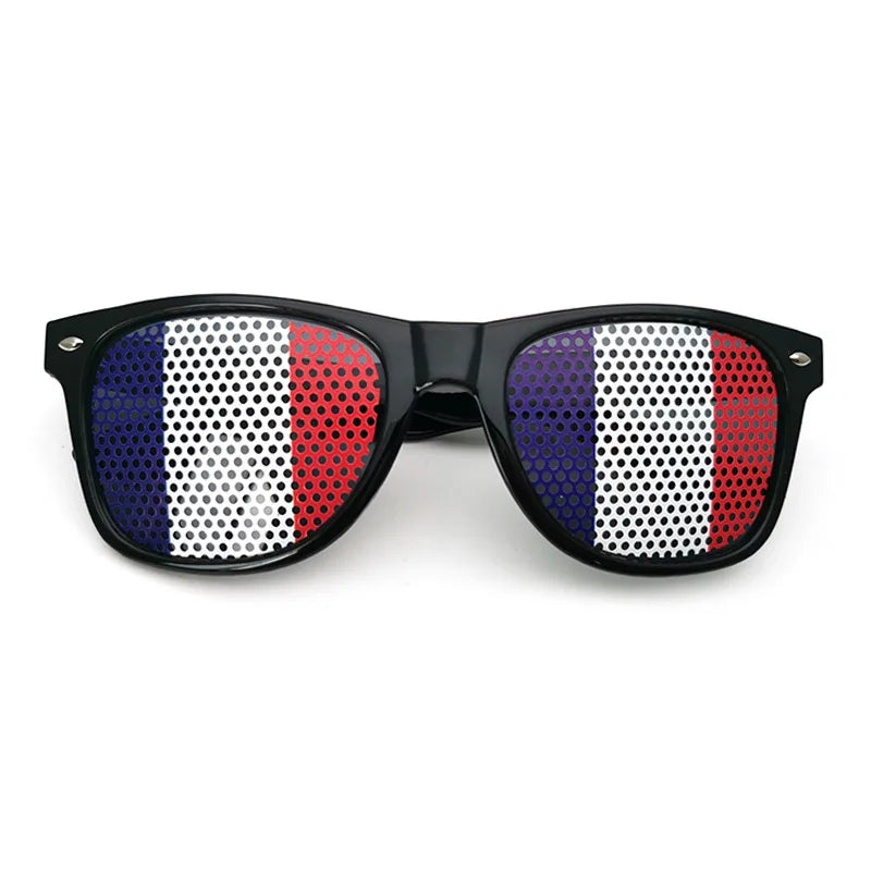 FlagVision