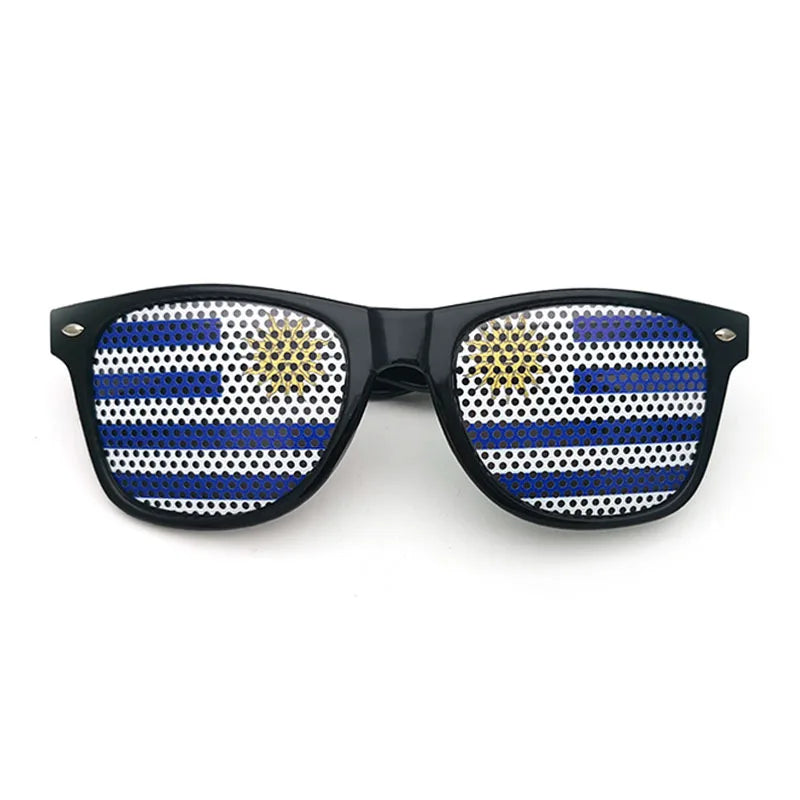 FlagVision