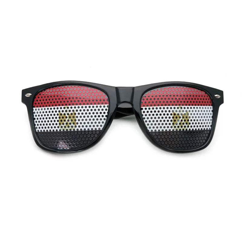 FlagVision
