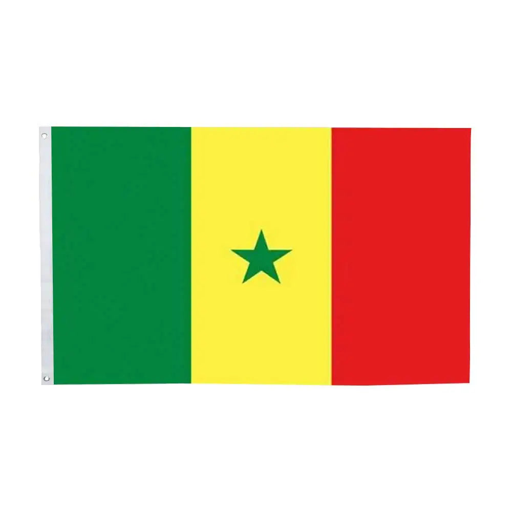 African Flags Pack 🔥🌍 | Décore Ton Espace Avec Les Nations d’Afrique