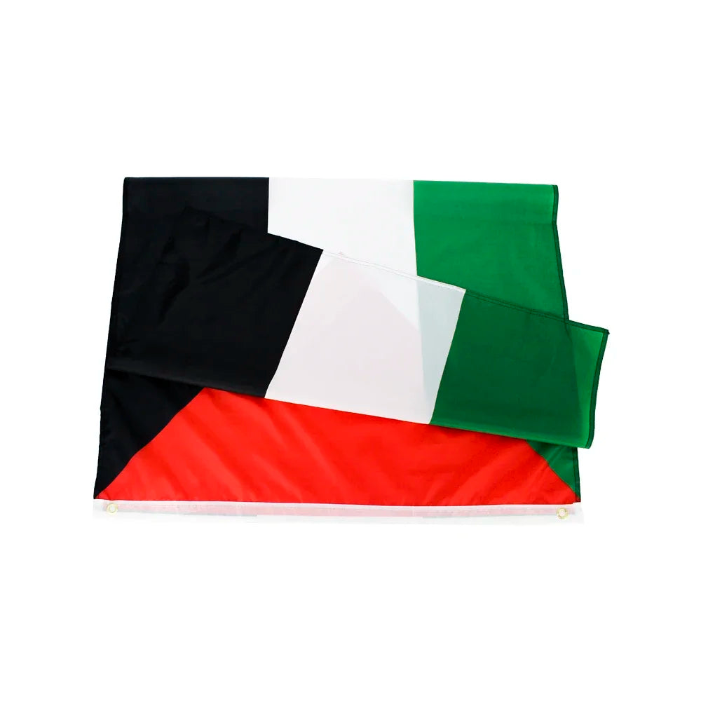 🇵🇸 Affiche tes couleurs avec fierté ! | Drapeau Palestine Premium 🔥
