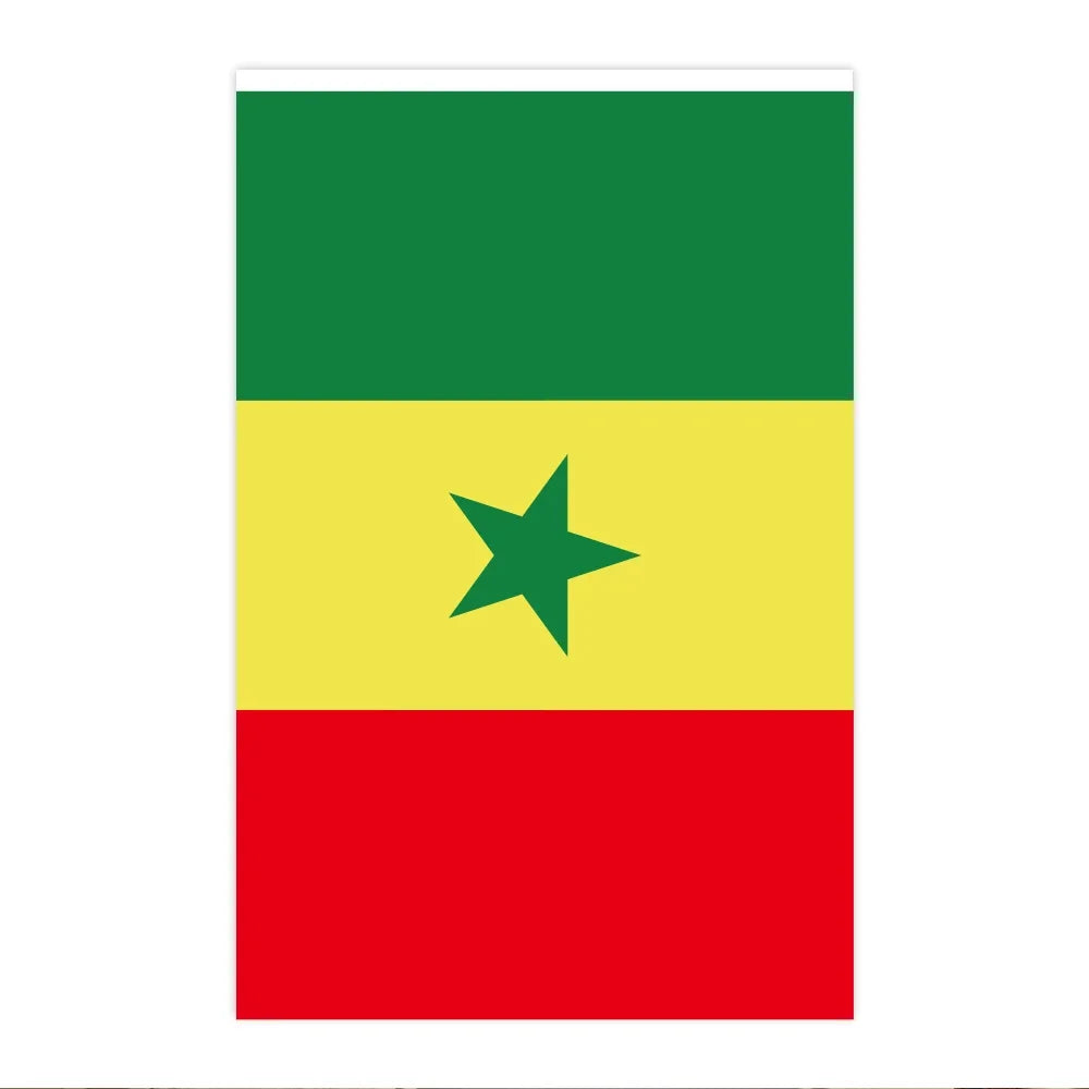 Senegal Bunting Flags 🔥🇸🇳 | Décore Tes Fêtes Avec Style