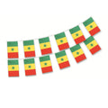 Senegal Bunting Flags 🔥🇸🇳 | Décore Tes Fêtes Avec Style